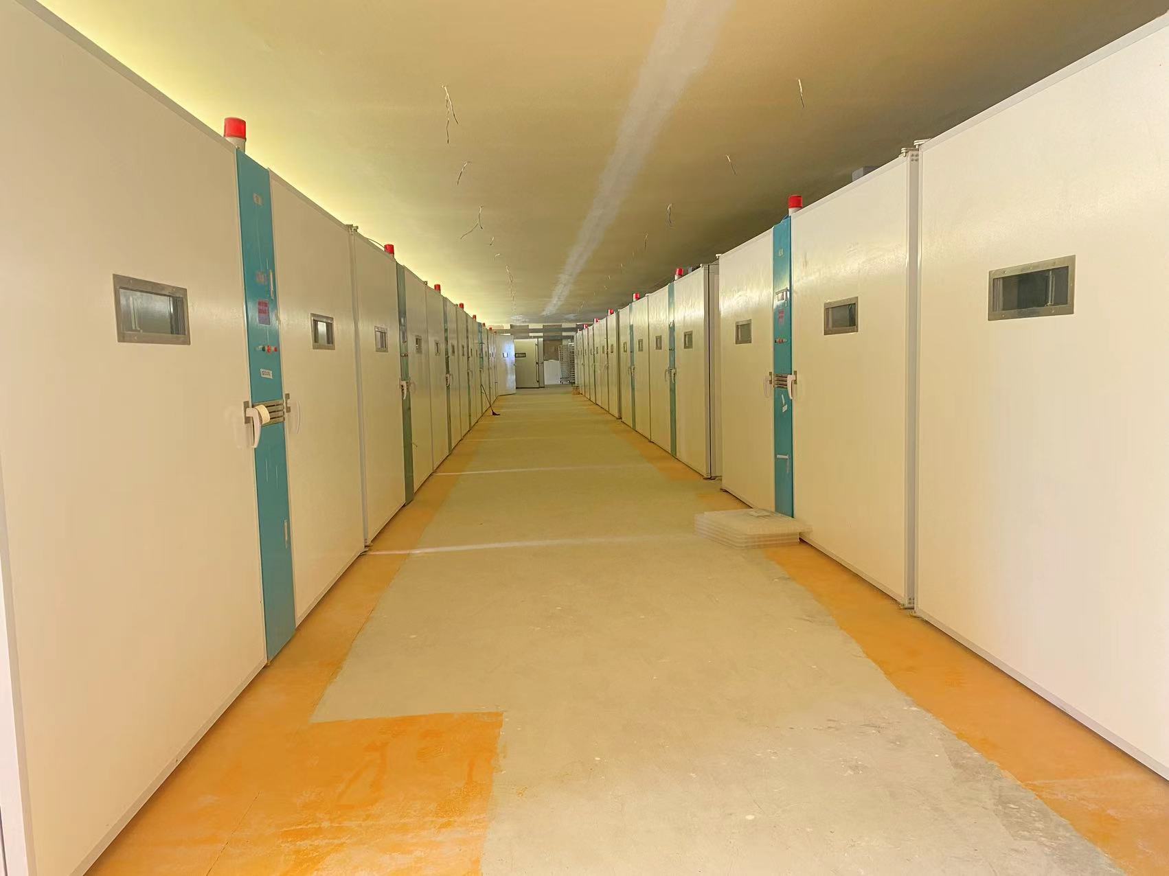 Derniers blogs de l'entreprise sur Durable Poultry Solutions: Why African Hatcheries are Switching to Stainless Steel & Fiberglass ELT-57600S