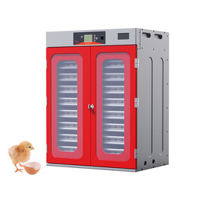 acheter Incubateur multi 9.7KW d'étape de tunnel de 10000 capacités avec le chariot 12 online manufacture