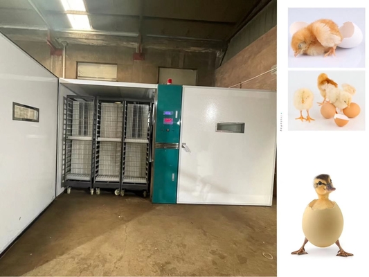 acheter 19200 incubateurs d'oeufs de large échelle incubent des oeufs d'oie d'oiseaux de canards online manufacture