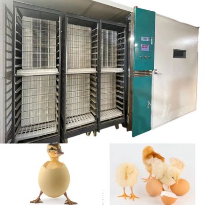 acheter L'incubateur automatique d'oeufs d'ONELYE 12000 incubent les pigeons de Gooses de canards online manufacture