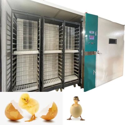 acheter Hachure de l'incubateur automatique 19200 d'oeufs de poulet de large échelle du taux 98% online manufacture