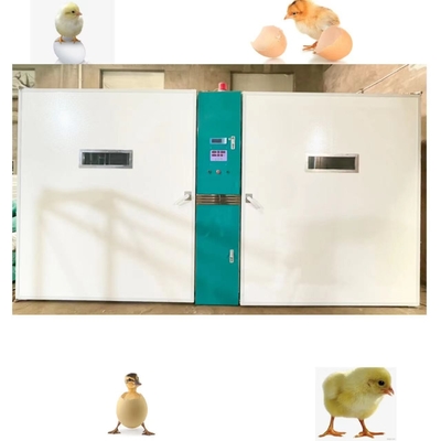 acheter Grand oeuf de poulet de ferme hachant la large échelle de machine 19200 capacités online manufacture
