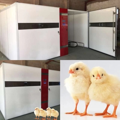acheter Oeuf 1000W industriel hachant des incubateurs avec l'exactitude d'humidité de ±3%RH online manufacture