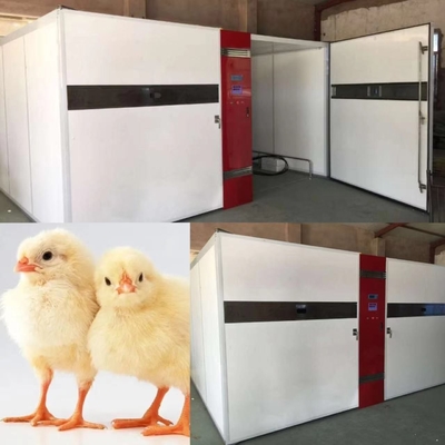 acheter Poulet d'affichage numérique de LED hachant la machine 50kg online manufacture