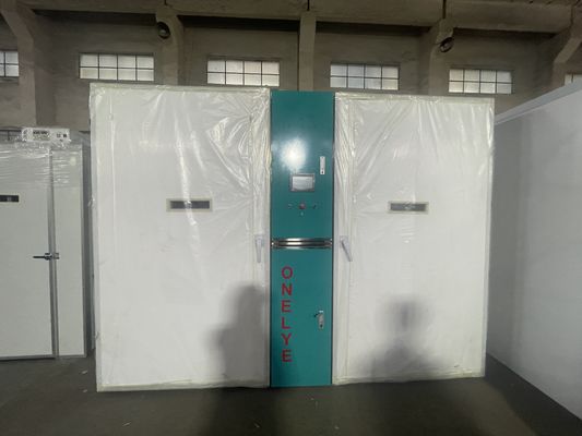 acheter Incubateur à étage unique de 50 kg avec une puissance de 1000 W et un matériau en acier inoxydable online manufacture