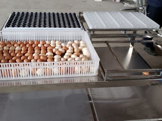 acheter Oeuf automatique commercial de transfert mirant la machine d'équipement de Tableau online manufacture
