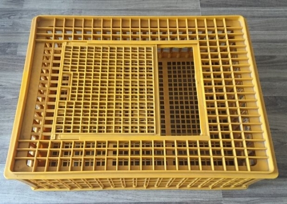 acheter Les accessoires de cage de poulet transportent la cage en plastique 732x534x260mm de poulet de volaille online manufacture