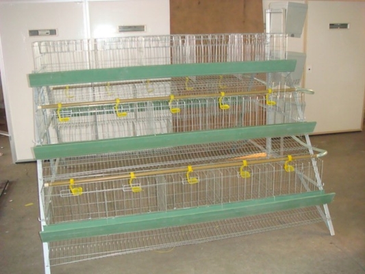 acheter Accessoires automatisés 3 de ferme avicole système de cage de batterie de couche d'oeufs de poulet de volaille de 4 rangées pour des poulets à rôtir online manufacture