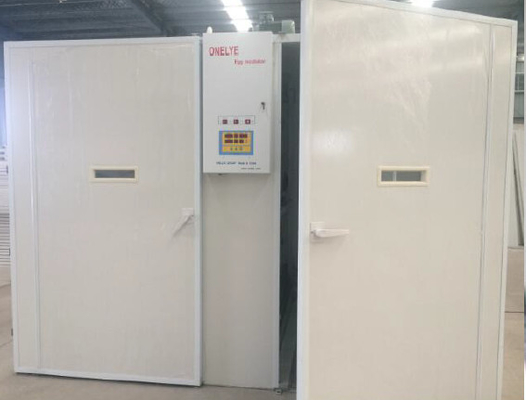 acheter Perruche Duck Chicken Egg Incubator With Turner Auto Hatch Incubators automatique online manufacture