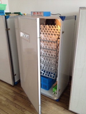 acheter Incubateur complètement automatique d'oeufs de trappe facile pour l'incubateur de capacité d'oeufs des oeufs 300 de poulet online manufacture