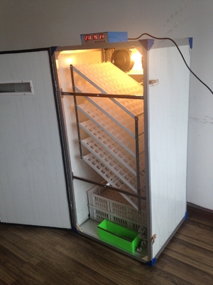 acheter Incubateur d'oeufs de 500 poulets online manufacture