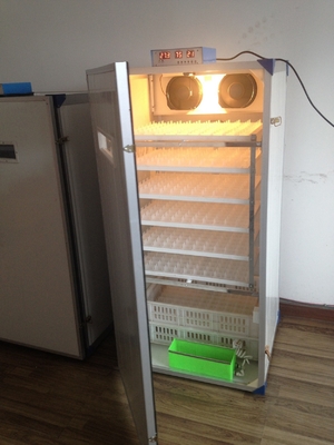 acheter Petit incubateur d'oeufs de volaille de 300 tortues pour l'incubateur de rotation d'individu d'oeufs de poulet online manufacture