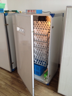 acheter Incubateur automatique d'oeufs de volaille hachant l'incubateur d'oeufs de la machine 600 online manufacture