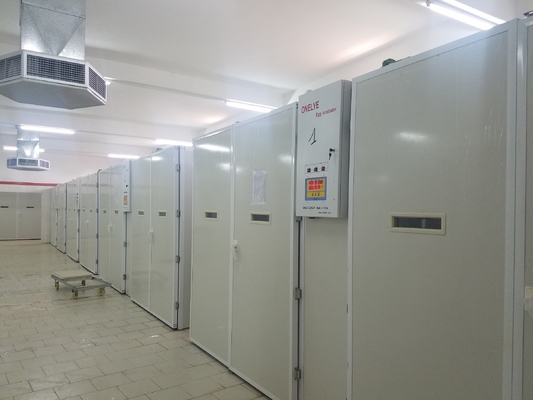 acheter Oeuf de poulet de 20000 incubateurs hachant la machine online manufacture
