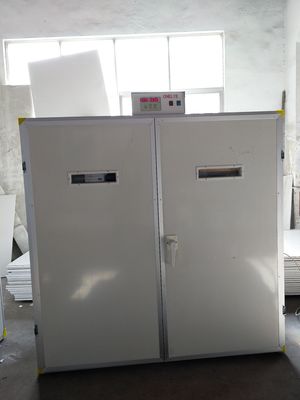 acheter Machine d'établissement d'incubation d'incubateur de poseur d'oeufs de 7040 faisans online manufacture