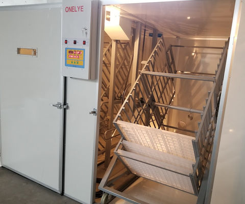 acheter Hachure commerciale d'oeufs de perroquet de faisan d'oeufs de l'incubateur 10000 d'oeufs de grande capacité online manufacture