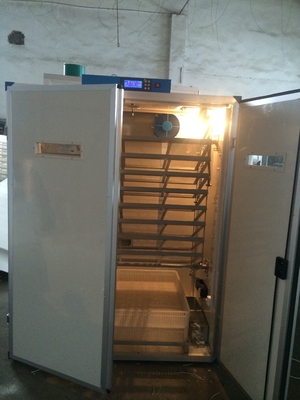 acheter Oeuf de caille de Hatcher 7956 d'incubateur de poseur d'oeufs de Digital hachant la machine online manufacture