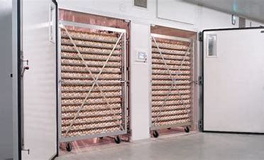 acheter Incubateur intelligent d'étape unique de 31824 cailles d'oeufs avec l'oeuf Turner online manufacture