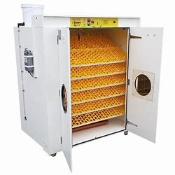 acheter Incubateur commercial Turner Heat automatique d'oeuf 31824 de caille réglable online manufacture