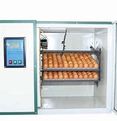 acheter L'incubateur automatique Hatchers d'oeufs de poulet de 360 degrés a aéré online manufacture
