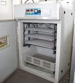 acheter L'incubateur enorme d'oeufs de la volaille 200PCS a expulsé des sections online manufacture