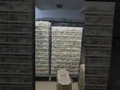 Quel est le type d'incubateur le plus courant?